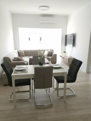 Spacious Luxury Apartment